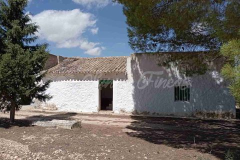 Landejendom i Yecla, Murcia, Yecla - € 49.995 | Ref: SF0390 - foto 3